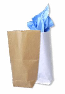 sacs ecornes blanc ou kraft